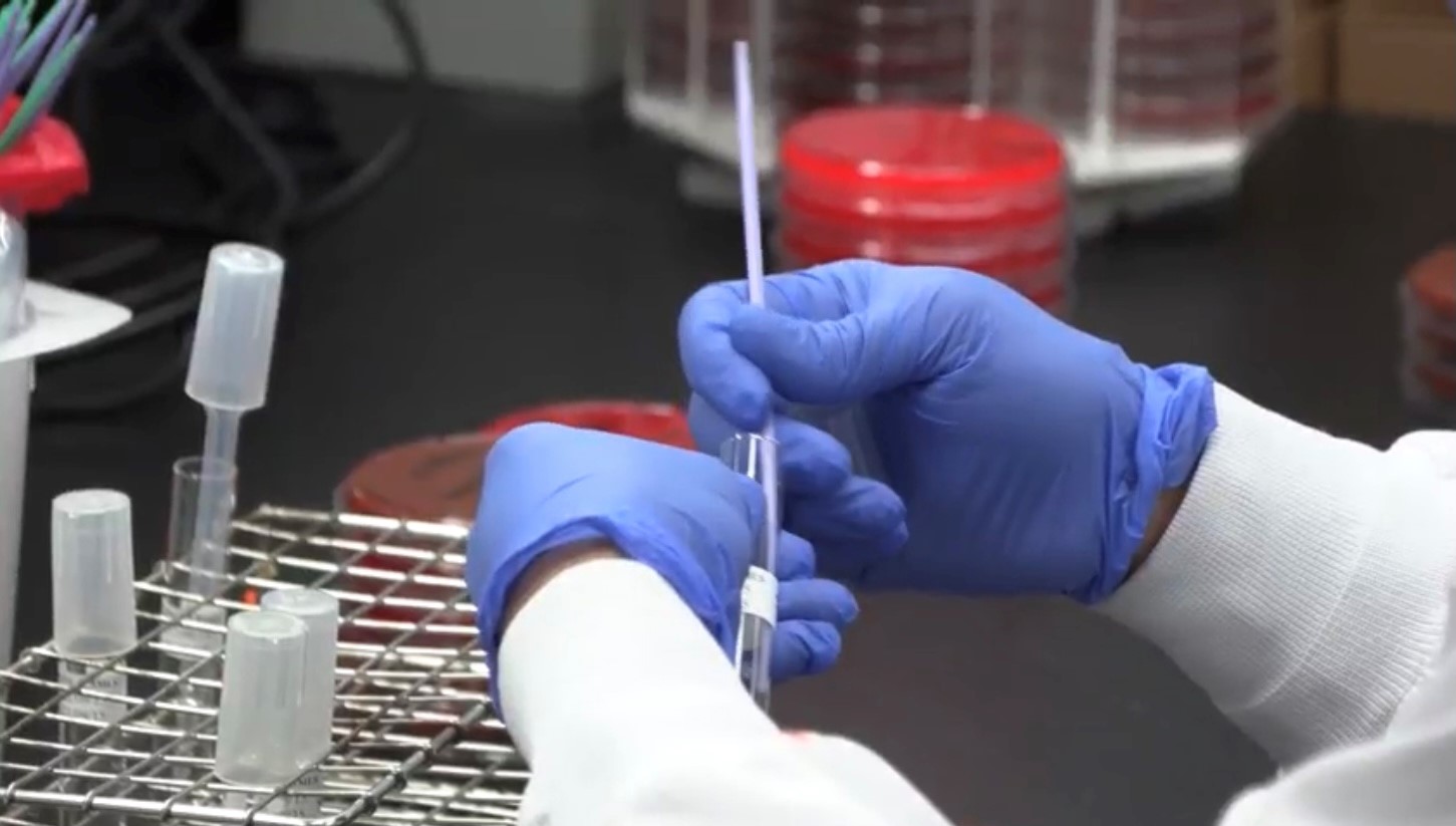 Blood samples in lab