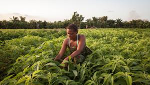 Woman working in a field