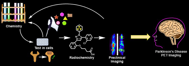 Graphic depiction of research project