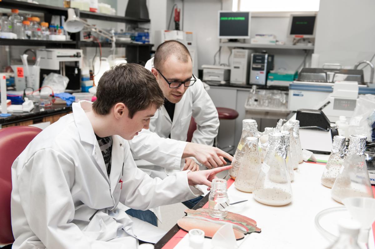 Two young scientists studying microbiome and probiotics