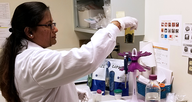 Fecal transplant capsules prepared in lab